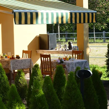 Real Bb Balsamico 3*